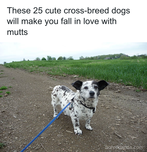 download 2025 10 23T103531.697.png