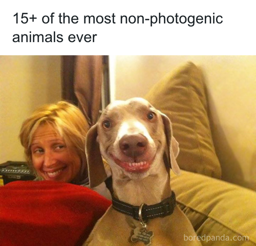 download 2025 10 23T104432.710.png