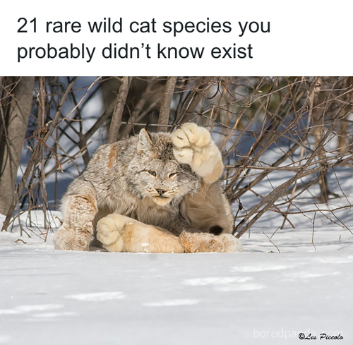 download 2025 10 23T104921.497.png