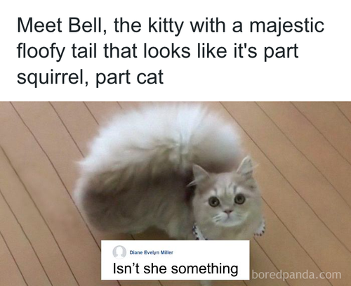 download 2025 10 23T105133.840.png