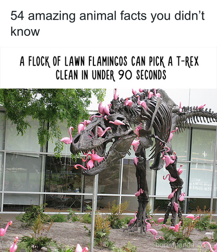 download 2025 10 23T105304.566.png