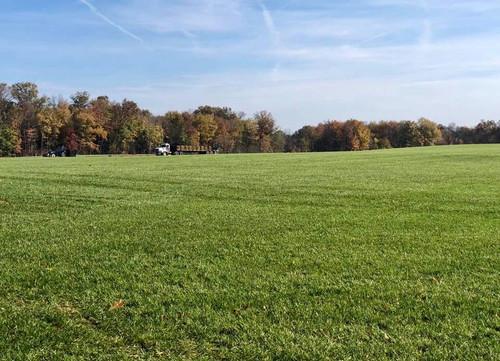 Premium Grass Sod arlington.jpg