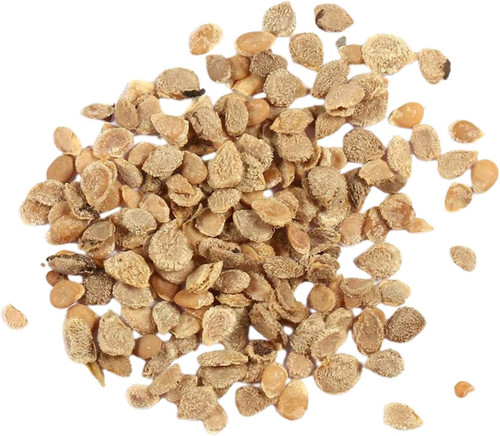 71DgW3OgPyL. AC SL1500 .jpg