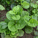 71j0hicz35S. AC SL1500 