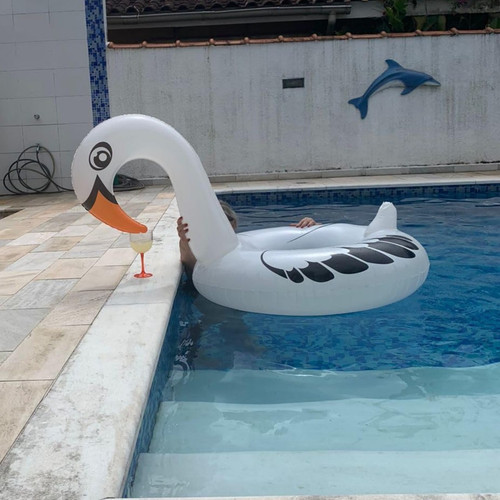 Cisne Perolado Branco.jpg