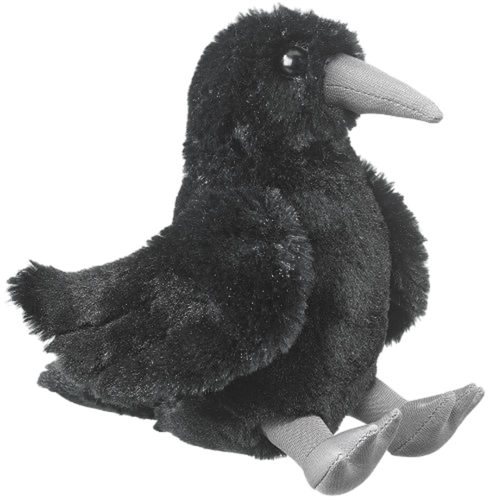 IMG 6617.png