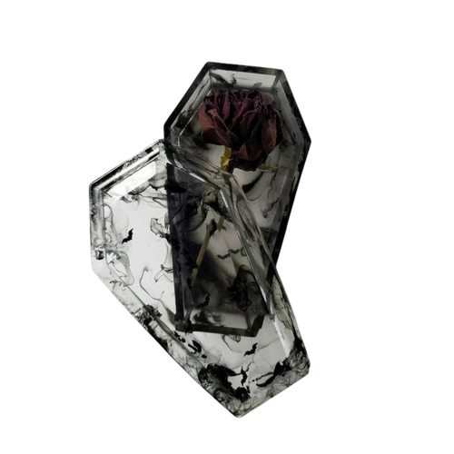 IMG 6625.png