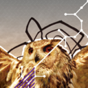 bf8f75798b28.png