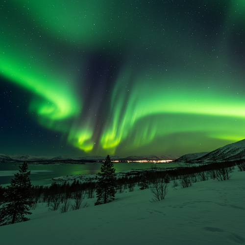 Oslo & Tromso Northern Lights Special image 1 1024x1024.png