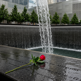 NYC Dreamin' image 6 1152x1152