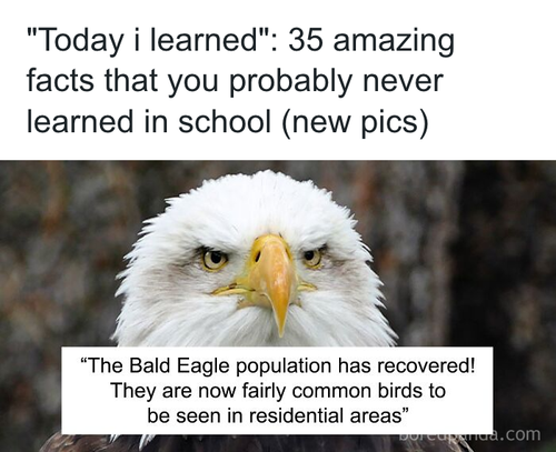 download 2025 10 22T153231.053.png