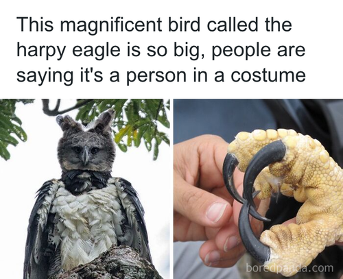 download 2025 10 22T115404.494.png