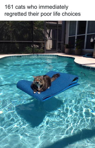 download 2025 10 22T115627.989.png