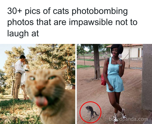 download 2025 10 22T112944.875.png