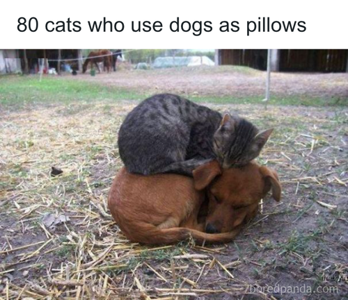 download 2025 10 22T122133.910.png