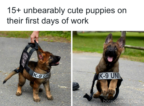 download 2025 10 22T112021.692.png