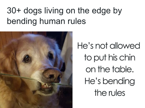 download 2025 10 22T114538.098.png