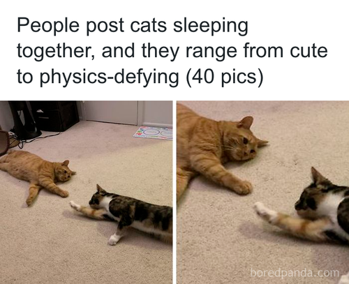 download 2025 10 22T121604.255.png