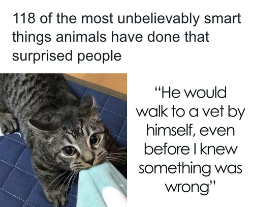 download 2025 10 22T121747.488.png