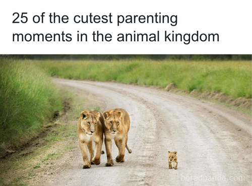 download 2025 10 22T112344.640.png