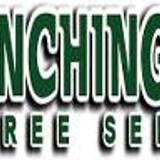 Tree Cutting &amp; Trimming Nesconset
