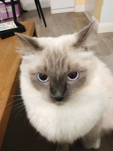 IMG 20251021 195312.jpg