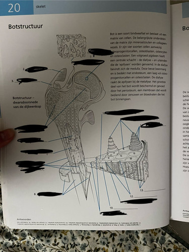 ef389085689f.jpg