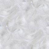 feather