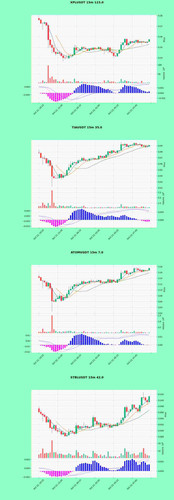 merged1.jpg