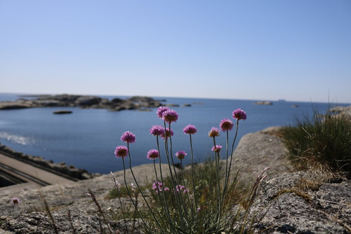 _MG_6309 1.jpg