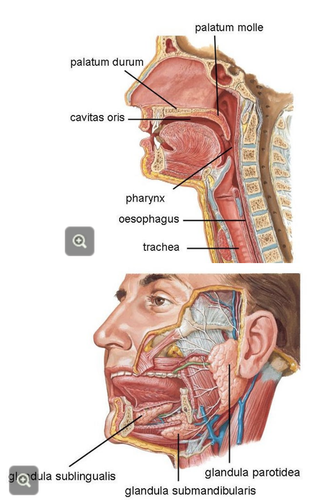 26a56ae901d3.png