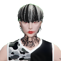 5c6e8095ec29.png