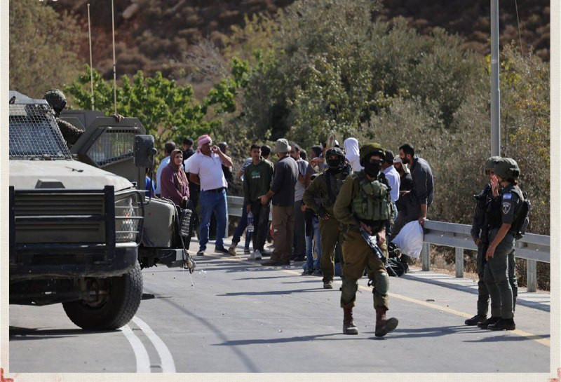 صور| مستوطنون تحت حماية الاحتلال يعرقلون وصول مزارعي واد سعير إلى أراضيهم لقطف الزيتون شرق الخليل....