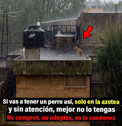 G33n07sWkAAuuhu.jpg