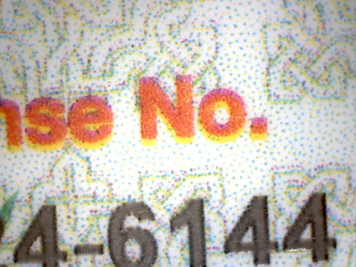 WIN 20251023 10 06 21 Pro.jpg