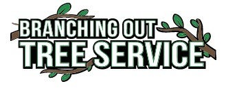 Tree Removal Long Island.jpg