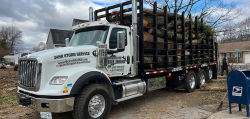 Tree Removal Long Island.jpg