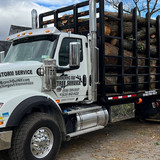 Tree Removal Long Island