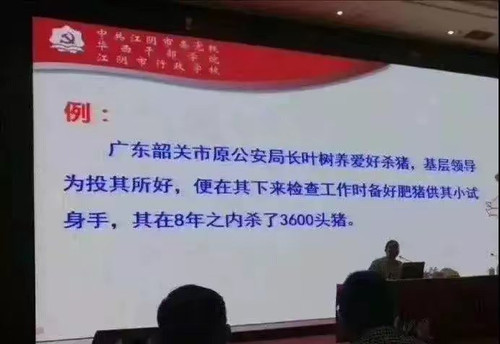 39117F8C16F20D97FB776AB14C39C820.jpg