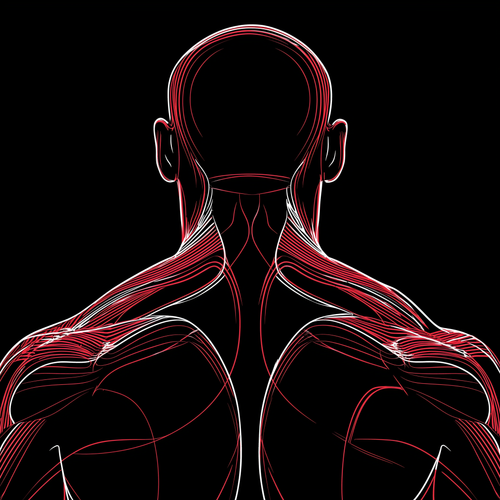 eman3139 flat minimalist vector illustration of an athletes bac 9f4e0fda 2213 4a23 a4fc 3ca63708ef9e.png