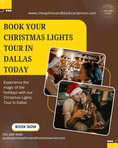 Christmas Lights Tour in Dallas.jpg