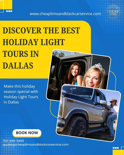 Holiday Light Tours Dallas.jpg
