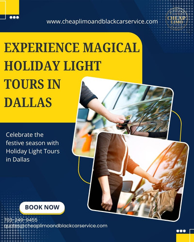 Holiday Light Tours in Dallas.jpg