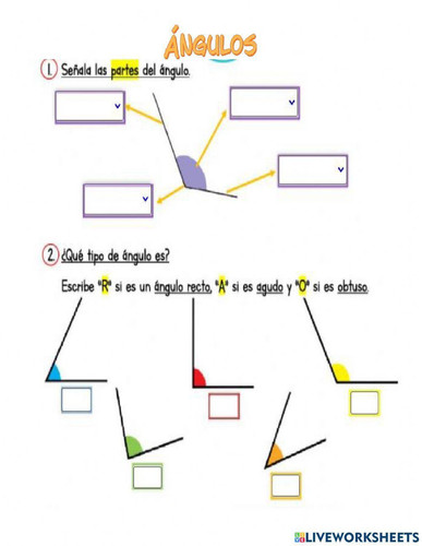 10530234741763365001.jpg