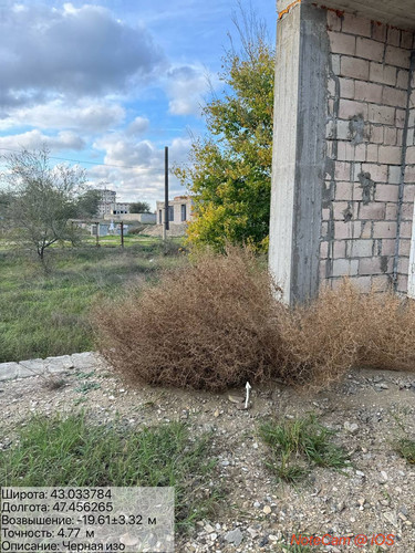 photo 12 2025 10 23 04 40 06.jpg