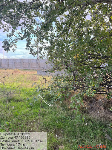 photo 8 2025 10 23 04 40 06.jpg