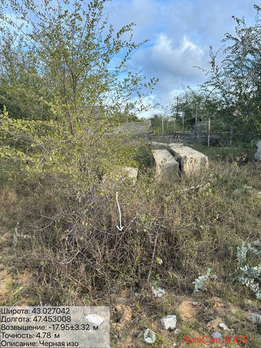 photo 4 2025 10 23 04 40 06.jpg