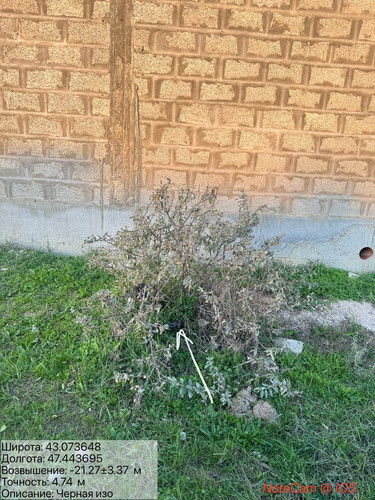 photo 18 2025 10 23 04 25 05.jpg