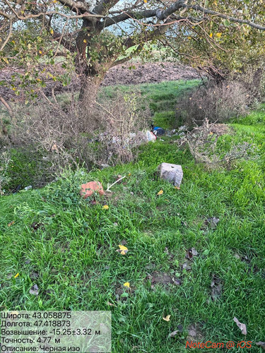 photo 8 2025 10 23 04 25 05.jpg