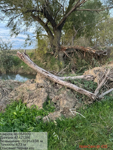 photo 7 2025 10 23 04 25 05.jpg